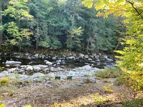 Custom Log Cabin on Wild Ammonoosuc River - Image 5