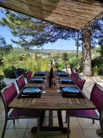 Pretty villa near Avignon and the Pont du Gard with a view of the village of Tavel - Image 4