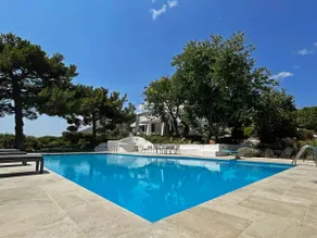 Villa Oasis with Large Pool Athenian Riviera Lagonissi - Image 5