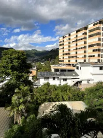 Hibiscus Hale <> Modern condo near trendy Kaimuki - Image 5