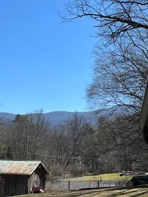 Firefly Creekside cabin - Image 4
