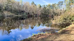 Peaceful Pond Cottage on 3 Private Acres · Mins to Evans Towne Center  Near ANGC - Image 3