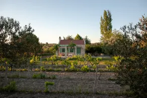 Peaceful Urla Vineyard House - Image 2