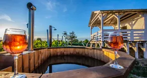 Pacsirta Kicsiház on the Vineyard with a tub bath - Image 5