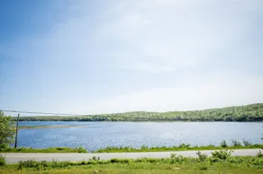 The Sunny Porcupine - Rustic Cottage w/ Ocean View - Image 3