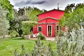 The Eagle and the Olive Tree - Image 3