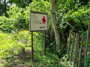 ”Verdant's haven”, Massages, Views, Fiber A/C vm - Image 3