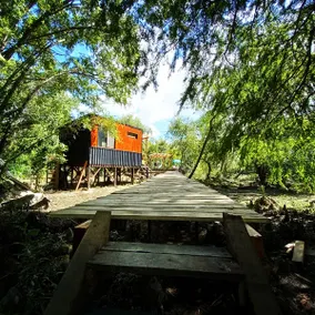 Despertar cabin in La Curandera - Image 4
