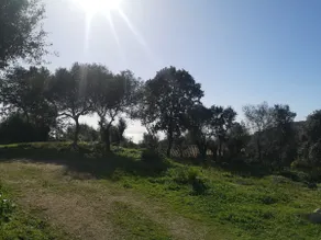 2/6 Pers. quiet in Olmeto with pool - Image 5