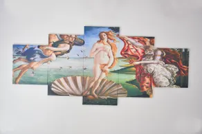 The home of Venus - Image 5