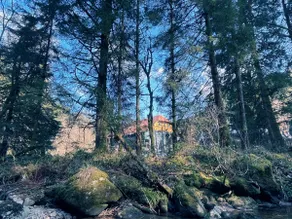 Somewhere Elz - Luxury chalet for up to 37 guests - Image 2