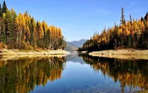 Natures Calling cabin, close to Glacier NP - Image 5