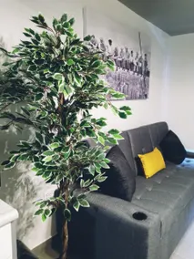 Contemporary apartment - Image 3