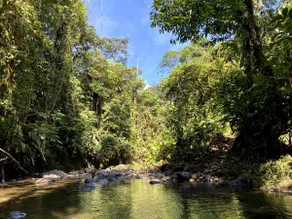 Casa Nube: A Cozy Retreat in the Chocó Andino - Image 5