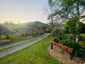 Cottage + Bathhouse I Yarra River I Mountain Views - Image 4