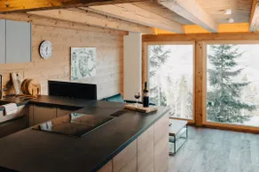 Planai apartment with Dachstein view - Image 2