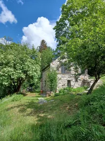 Rustic in the middle of nature - Image 2