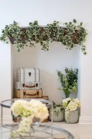 Central 1 Bedroom Apartment - with Patio - Image 5