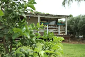 The house at the end of the field - Image 3