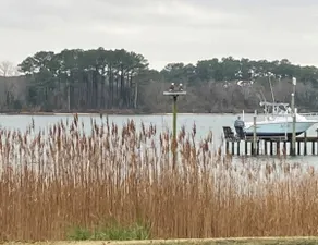 Bay Breeze Home on private waterfront - Image 2