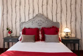 Luxury Singular Villa Rosa - Image 2