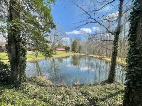 Country cabin overlooking pond near GWU - Image 5