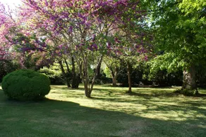 Château De Grenier Gite - Image 3