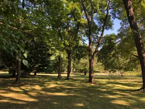 Historic Schifferdecker Cottage - Image 5