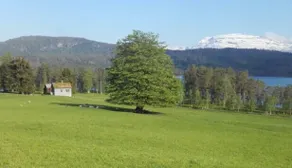 Cozy cottage in scenic surroundings - Image 4
