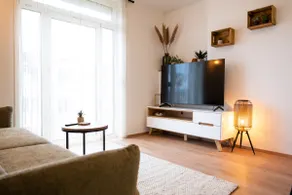 MH Living - 23 - Scandinavian Living Dream in Graz - Image 3