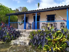 Pretty Farm House in a Natural Paradise - Image 4