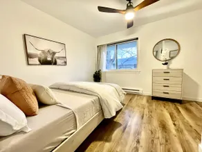 Stunning Downtown 2br/2ba Condo on Pearl St - Image 3