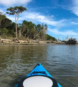 Chincoteague Island House \"Sir Whelk-A-Lot\" Kayaks Included! Downtown Location! - Image 5