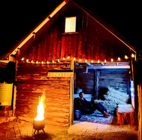 Poet's Ode - featuring the Donkey Shed Theatre - Image 3