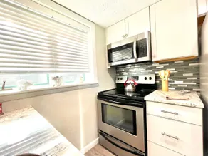 Mountain Views | Updated 2BR + Loft Near Skiing - Image 5
