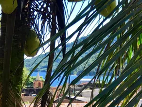 Casa dos franceses guesthouse ilha grande - Image 3