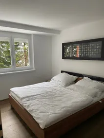 Lake apartment with direct lake access - close to ski lift - Image 2