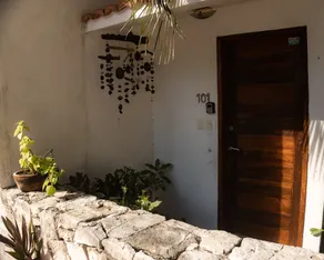 Cenote and monkey house - Image 3