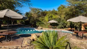 The Senna House - Image 4