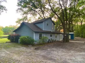The Blue House - Image 4