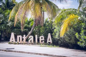 AMA VILLA - Image 5