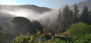 Les Deux Voutes de Camias - Gite en Cévennes - Image 5