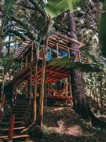 Treehouse/Emboava Refuge - Image 2