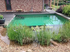 Comfortable house on the edge of the forest - pool, sauna & fireplace - Image 5