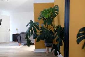 Cosy Chester Casa - free parking - Image 2