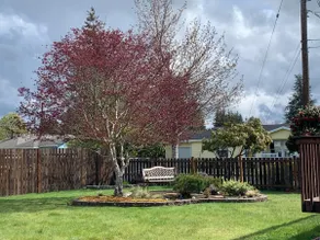 Small town charm on the Olympic Peninsula. - Image 3