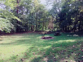 Schitt’s Cabin - Image 2