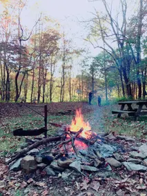Schitt’s Cabin - Image 4