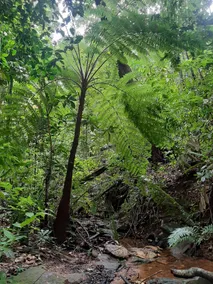 Sitio Pé de Catulé - Image 5