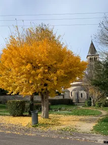 Gite André De Vignory - Image 5